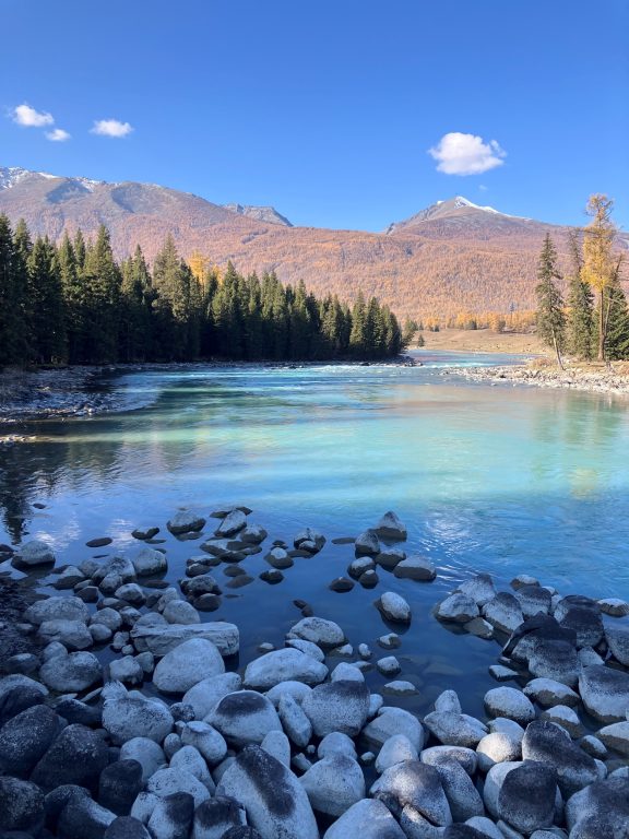 A river with rocks and trees in the background AI-generated content may be incorrect.